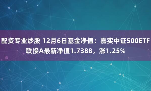 配资专业炒股 12月6日基金净值:嘉实中证500ETF联接A最新净值1.7388,涨1.25%