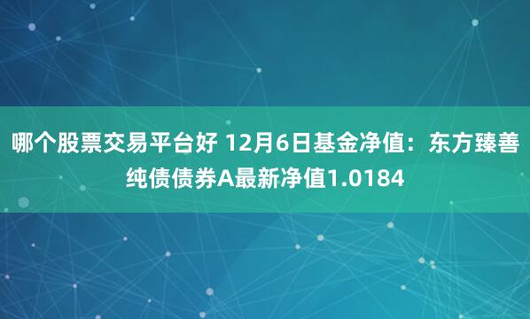 哪个股票交易平台好 12月6日基金净值：东方臻善纯债债券A最新净值1.0184