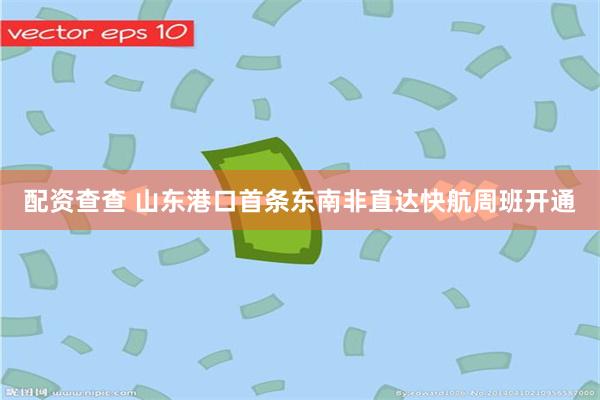 配资查查 山东港口首条东南非直达快航周班开通