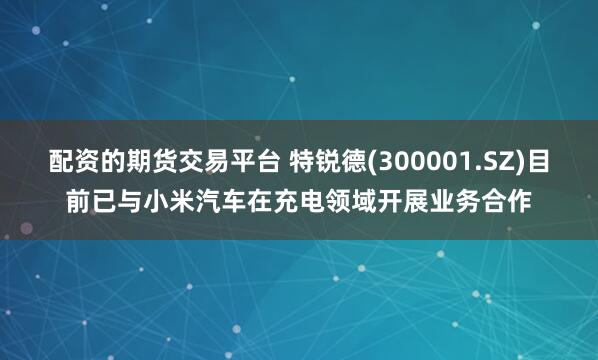 配资的期货交易平台 特锐德(300001.SZ)目前已与小米汽车在充电领域开展业务合作