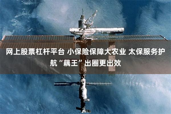 网上股票杠杆平台 小保险保障大农业 太保服务护航“藕王”出圈更出效
