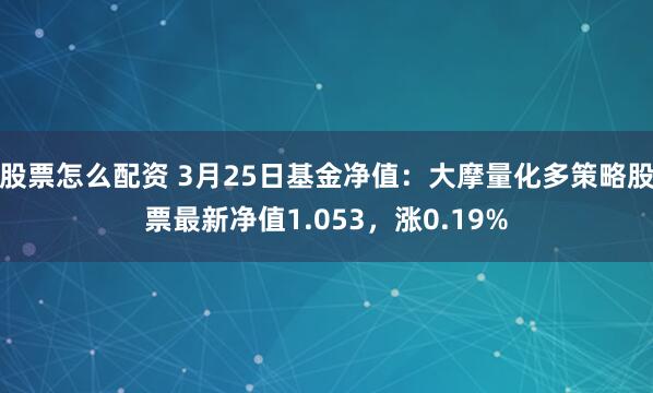 股票怎么配资 3月25日基金净值：大摩量化多策略股票最新净值1.053，涨0.19%