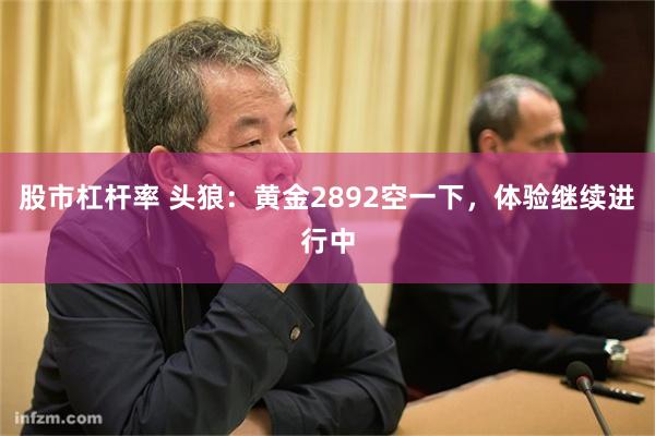 股市杠杆率 头狼：黄金2892空一下，体验继续进行中