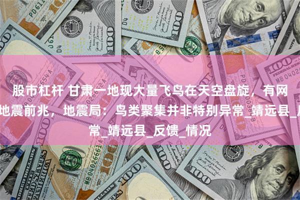 股市杠杆 甘肃一地现大量飞鸟在天空盘旋，有网友担心为地震前兆，地震局：鸟类聚集并非特别异常_靖远县_反馈_情况