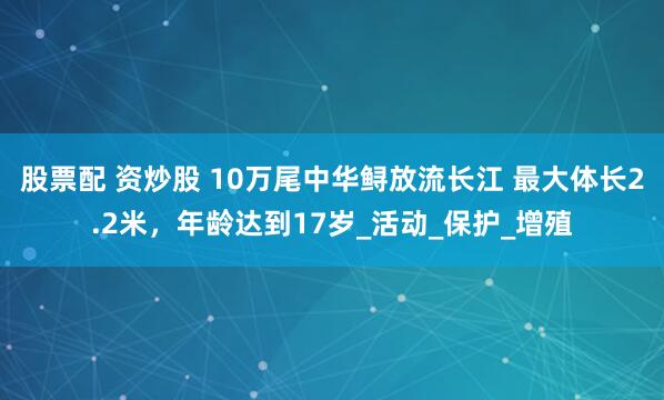 股票配 资炒股 10万尾中华鲟放流长江 最大体长2.2米，年龄达到17岁_活动_保护_增殖