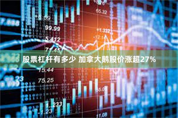 股票杠杆有多少 加拿大鹅股价涨超27%