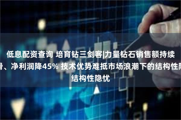 低息配资查询 培育钻三剑客|力量钻石销售额持续下滑、净利润降45% 技术优势难抵市场浪潮下的结构性隐忧