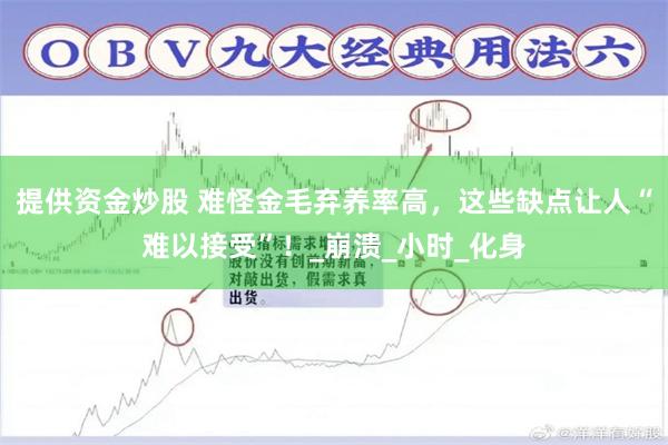 提供资金炒股 难怪金毛弃养率高，这些缺点让人“难以接受”！_崩溃_小时_化身