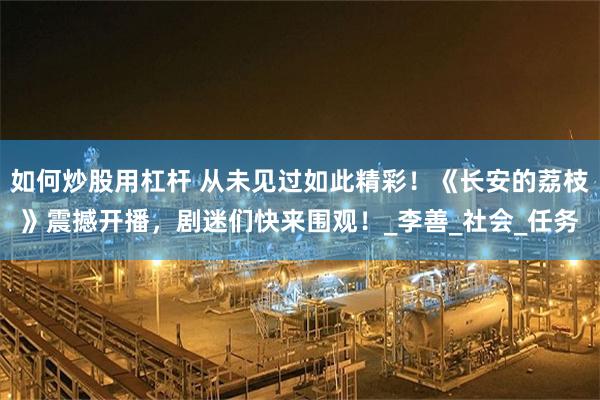 如何炒股用杠杆 从未见过如此精彩！《长安的荔枝》震撼开播，剧迷们快来围观！_李善_社会_任务