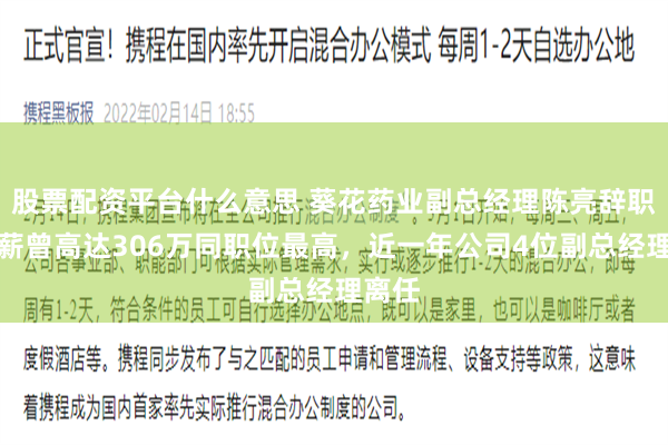 股票配资平台什么意思 葵花药业副总经理陈亮辞职，年薪曾高达306万同职位最高，近一年公司4位副总经理离任