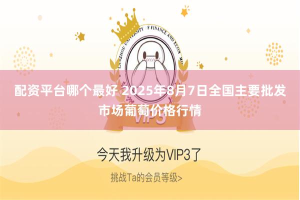 配资平台哪个最好 2025年8月7日全国主要批发市场葡萄价格行情