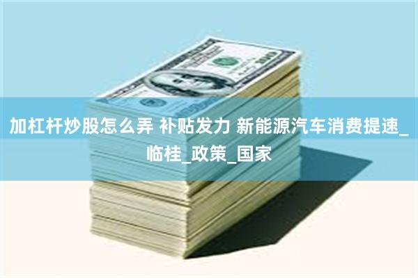 加杠杆炒股怎么弄 补贴发力 新能源汽车消费提速_临桂_政策_国家