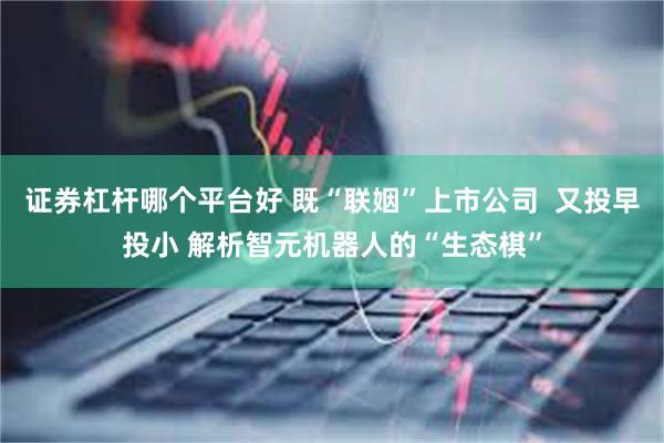证券杠杆哪个平台好 既“联姻”上市公司  又投早投小 解析智元机器人的“生态棋”