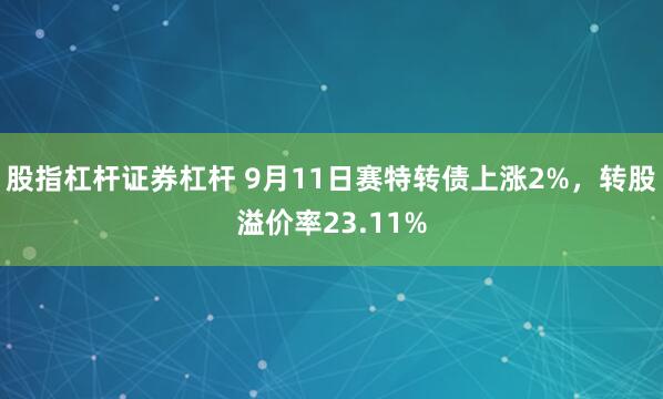 股指杠杆证券杠杆 9月11日赛特转债上涨2%，转股溢价率23.11%
