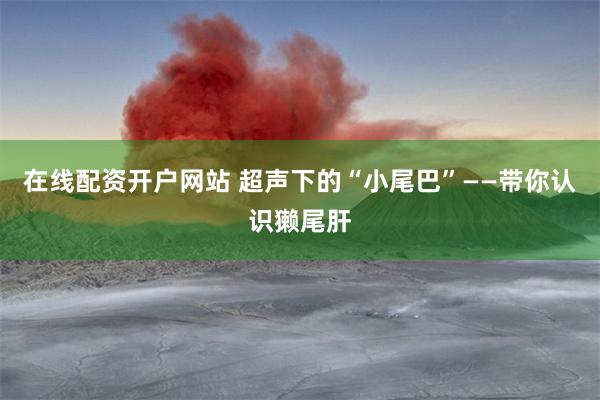 在线配资开户网站 超声下的“小尾巴”——带你认识獭尾肝