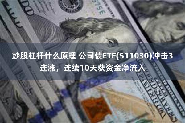 炒股杠杆什么原理 公司债ETF(511030)冲击3连涨，连续10天获资金净流入